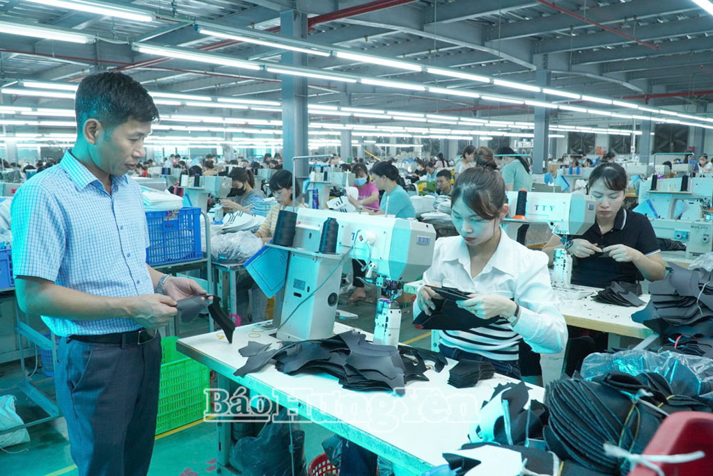 Hội Doanh nhân trẻ kiến tạo môi trường khởi nghiệp