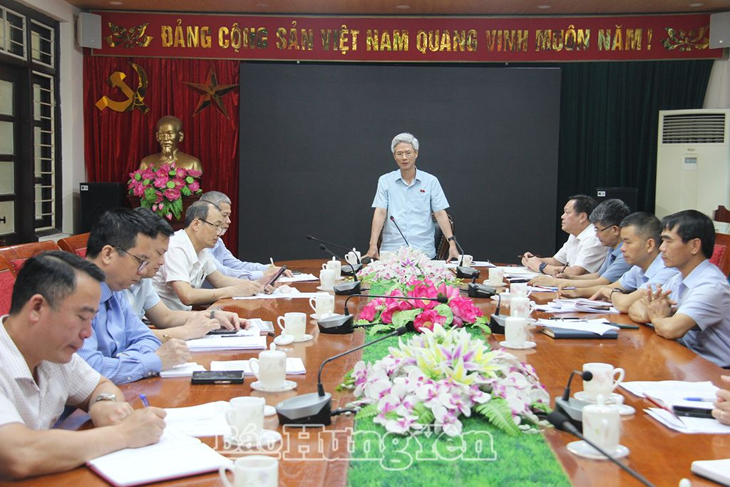 Đoàn Đại biểu Quốc hội tỉnh giám sát chuyên đề về việc thực hiện chính sách, pháp luật về bảo vệ môi trường