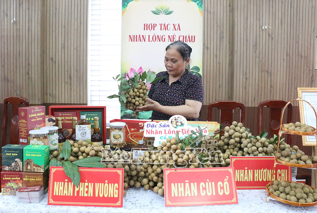 Hưng Yên - mùa nhãn chín