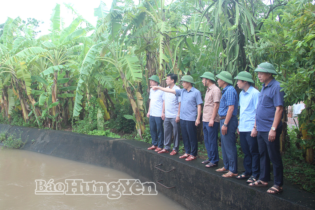 Kiểm tra công tác vận hành công trình thủy lợi, tiêu thoát nước phòng, chống ngập úng, bảo vệ sản xuất nông nghiệp