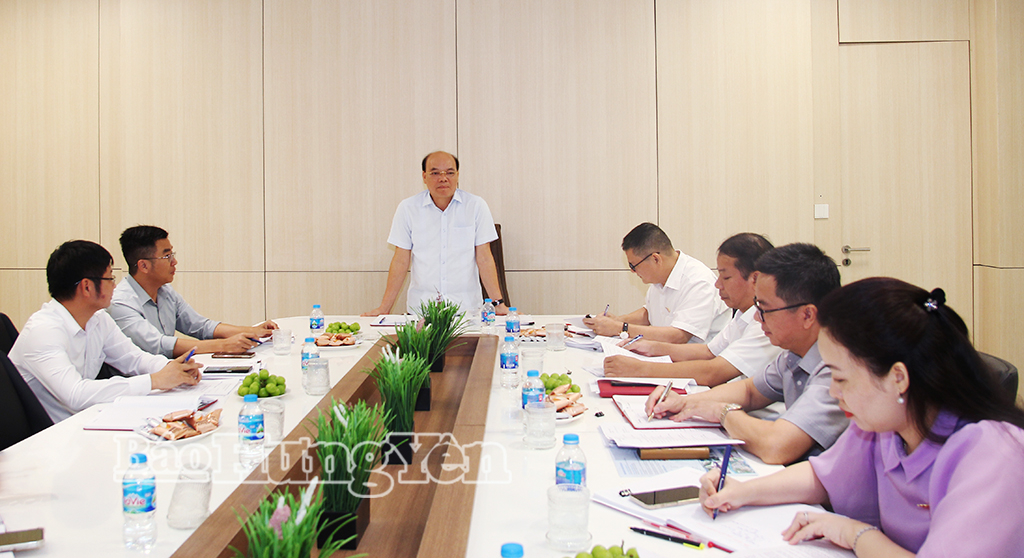 Ban Kinh tế - Ngân sách HĐND tỉnh giám sát tại Công ty Cổ phần Quản lý Khu công nghiệp Ecoland và Công ty TNHH Đầu tư và Phát triển Khu công nghiệp VTK